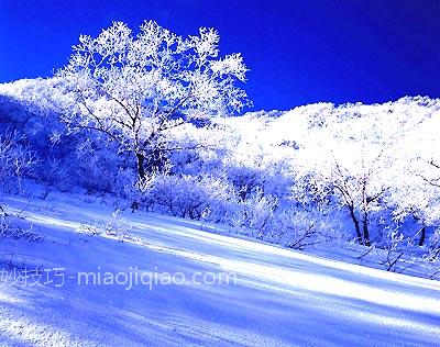 和雪山保持恋爱距离