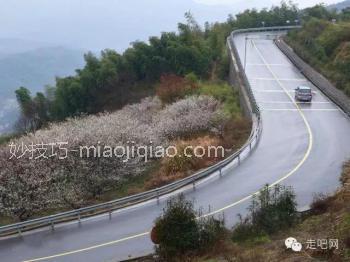 江浙沪最美的几条盘山公路