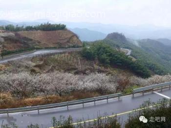 江浙沪最美的几条盘山公路