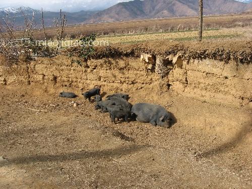 彩云之南的记忆