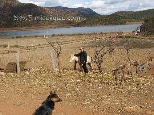 彩云之南的记忆