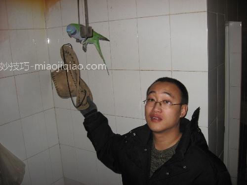 彩云之南的记忆