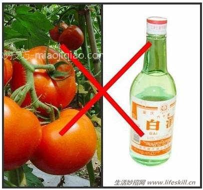 食物禁忌：自杀式的食物搭配