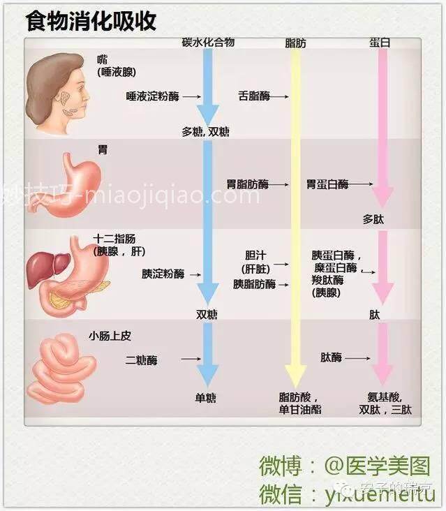 关于血脂异常的9件事