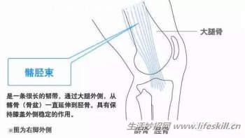 膝盖损伤修复知识小集锦