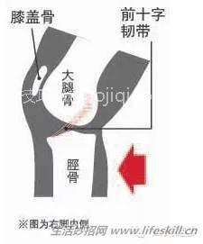 膝盖损伤修复知识小集锦