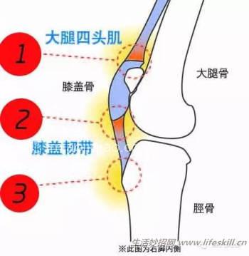 膝盖损伤修复知识小集锦