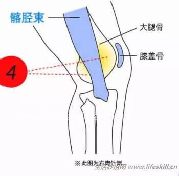 膝盖损伤修复知识小集锦