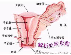 妇科医生告诉你，正常白带什么样！