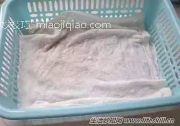 手把手教你在家发豆芽