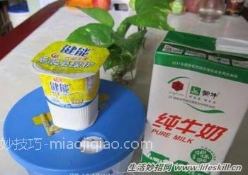 巧用电饭锅自制美味酸奶