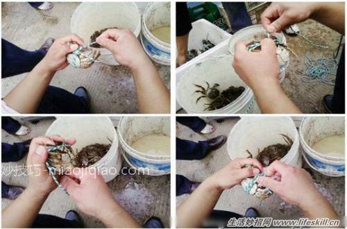 捆绑螃蟹的小方法