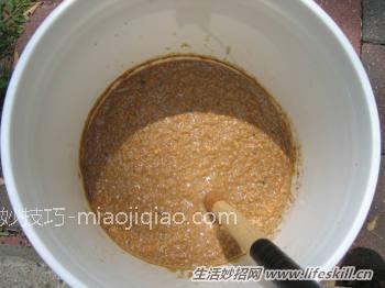 自制东北大酱的方法