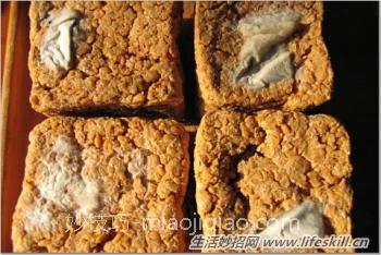 自制东北大酱的方法