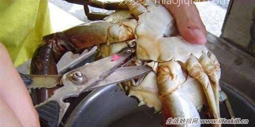 清洗螃蟹的三个小方法