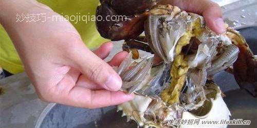 清洗螃蟹的三个小方法