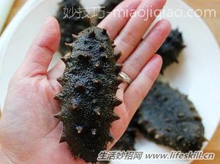 怎样挑选、泡发干海参？ 