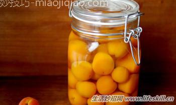 九种水果酒的酿制方法大分享