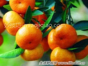 橘子的功效及挑选小技巧 