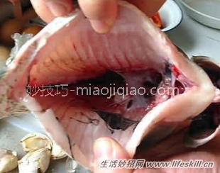 杀鱼时鱼胆破了怎么去苦味?