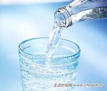 水培吊兰养护小知识