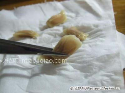 吃剩的果核莫扔！教你做5种简易绿色盆栽