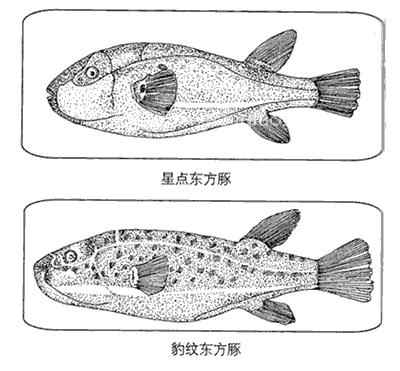 急性中毒（食物中毒）